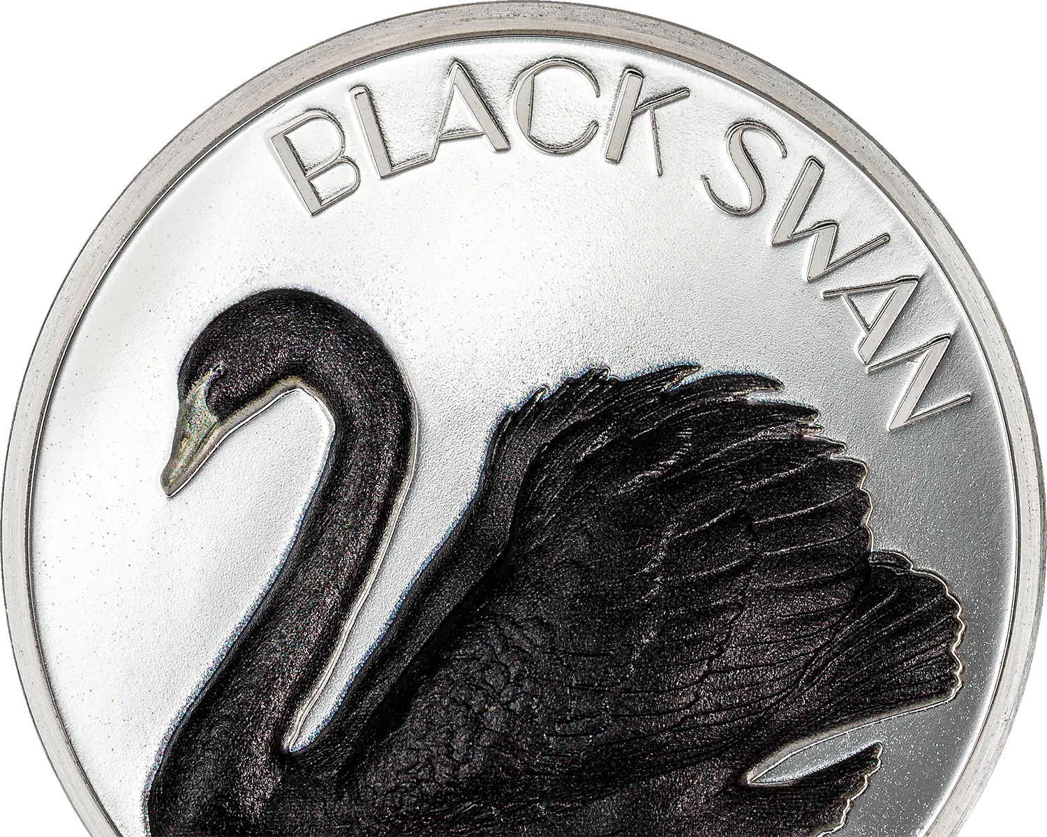 Black Swan